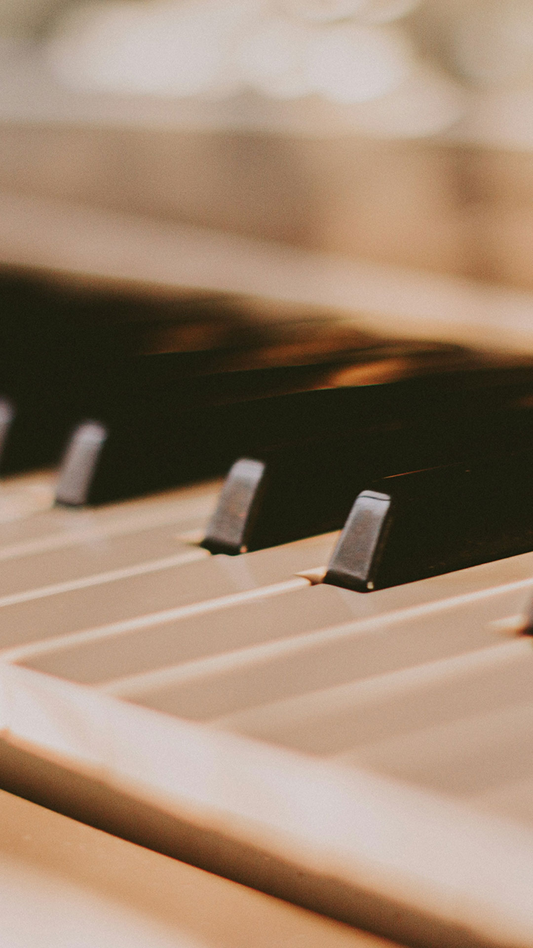 Cours de Piano - Vida