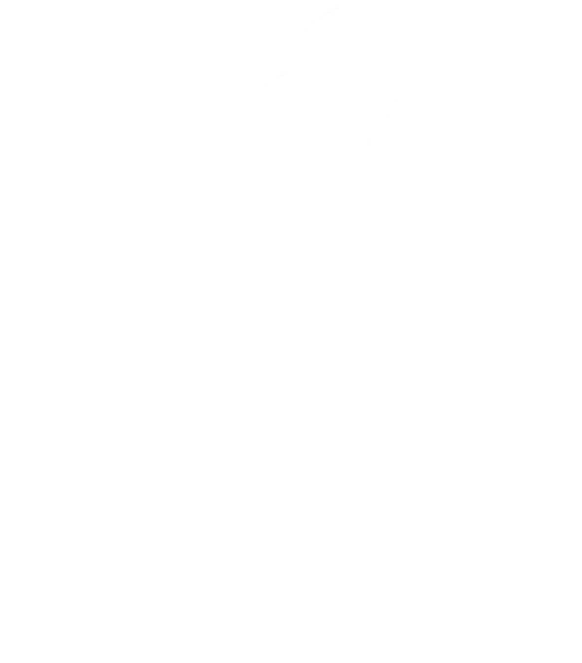 Vida Logo